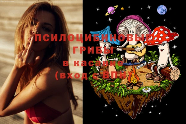 шишки Балабаново