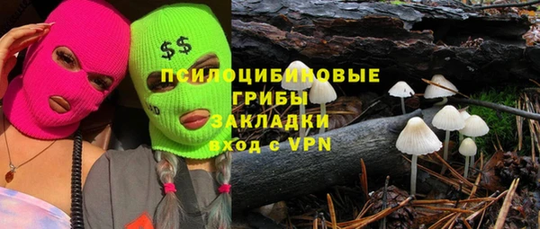 шишки Балабаново