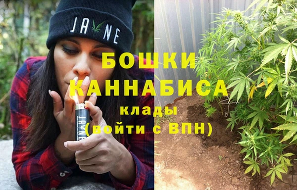 шишки Балабаново