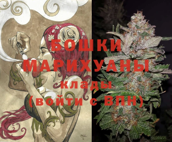 шишки Балабаново