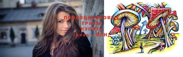 крисы Балахна