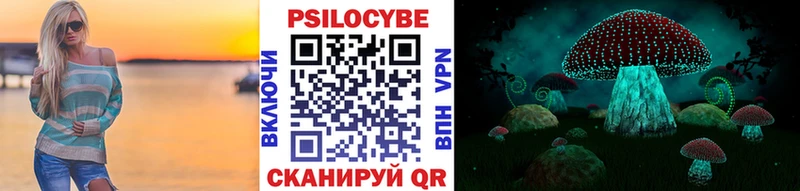Псилоцибиновые грибы мухоморы  цены наркотик  Заозёрск 